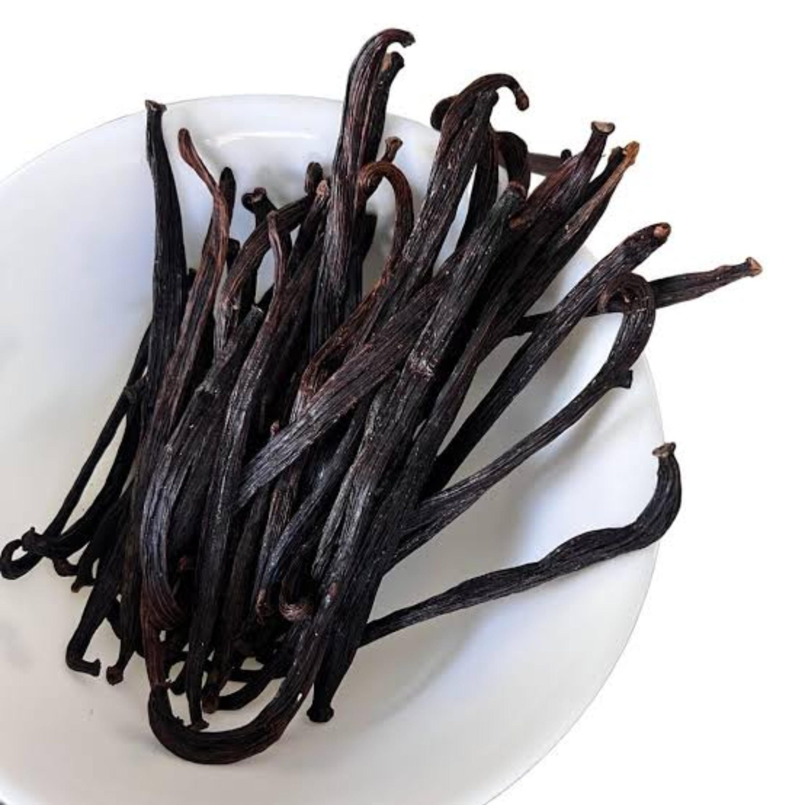 Vanilla beans Tahitian gourmet